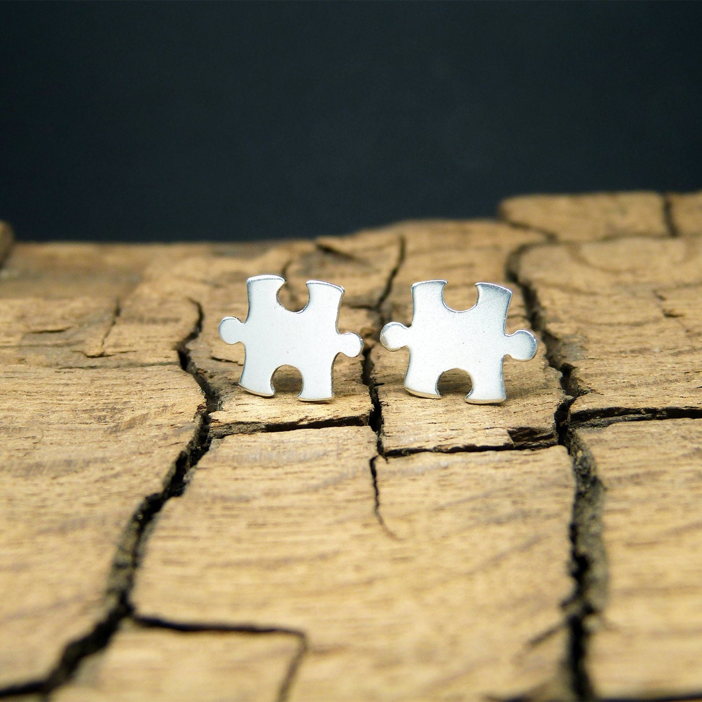 925 silver puzzle earrings