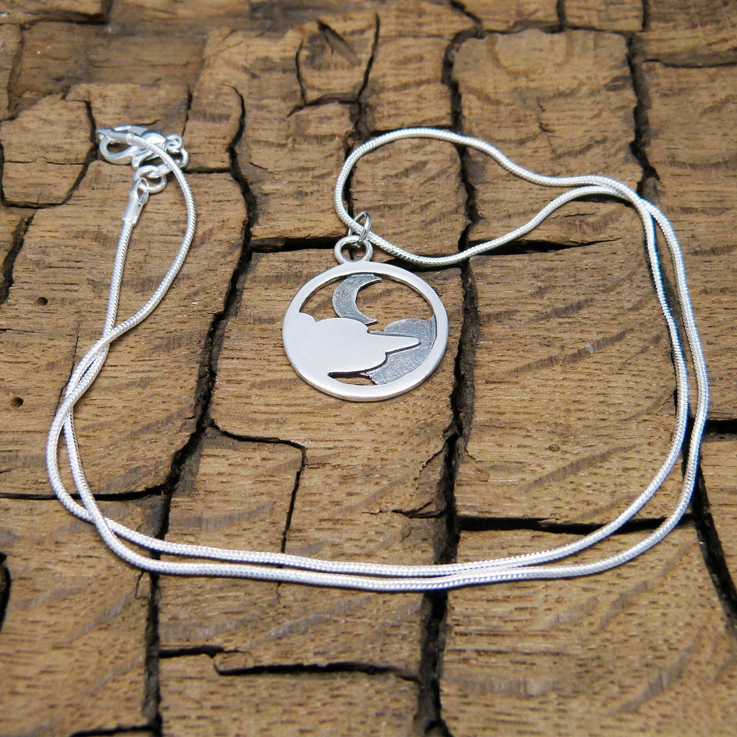 Colgante reversible de plata 925 Luna y Nubes