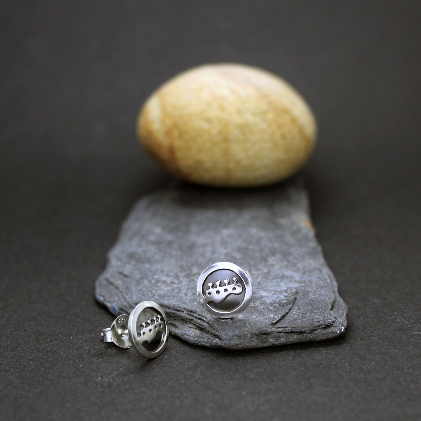 Bass headstock 925 silver earrings